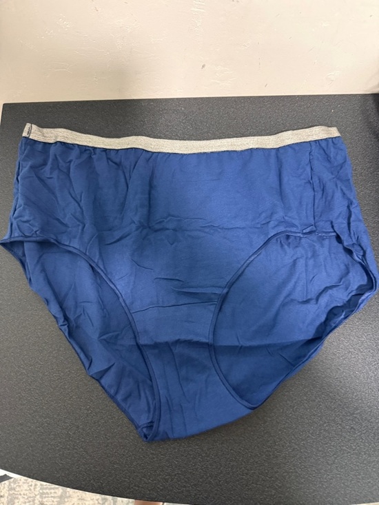Hanes Other - Hanes Women's Blue Brief Panties with Silver Waistband